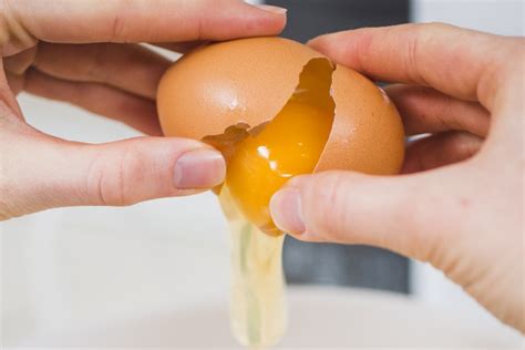 Se O Ovo Boiar Ele Está Estragado - Ovo estragado: 4 testes simples para garantir a qualidade