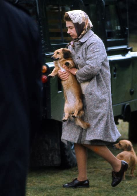 Why Did Queen Elizabeth Have So Many Corgis? | POPSUGAR Celebrity Photo 8