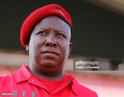 julius malema eff   premium high res pictures getty images