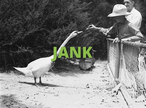 JANK Meaning » Slang.org