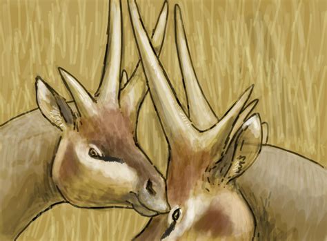 Joschua Knüppe on Twitter: "Highlights from the #paleostream