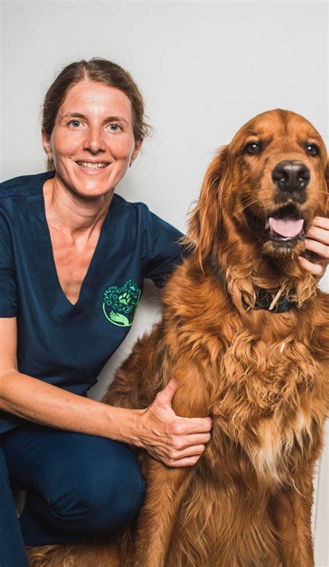 burke county animal hospital 2