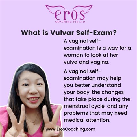 What Is Vulva Toileting at Michelle Mowery blog