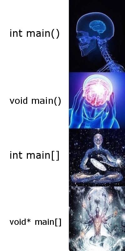 void main rprogrammerhumor