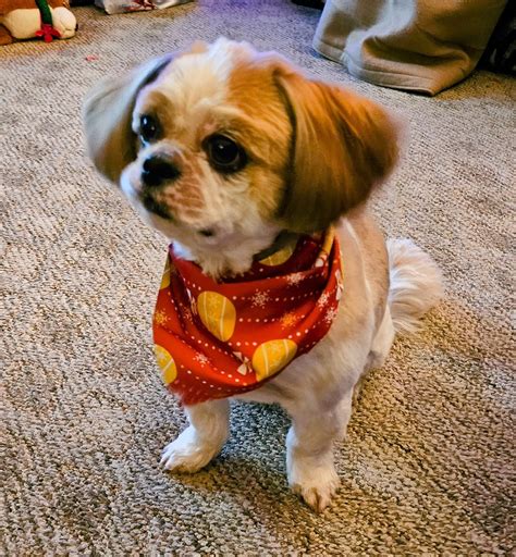 Inbox | Local Vet Clinics