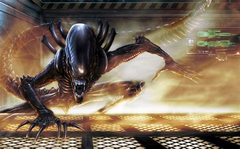Xenomorph Alien Movie HD Wallpaper