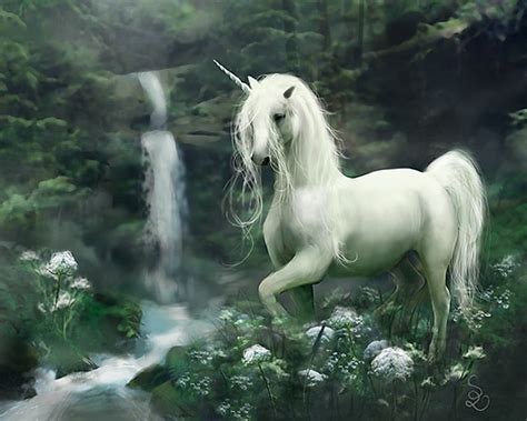 chicken scratch unicorn droppings  short story