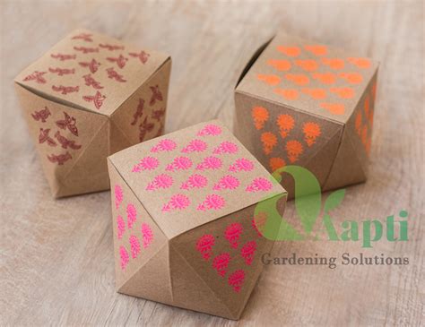 Ready to Grow Kit – Aapti Gardening