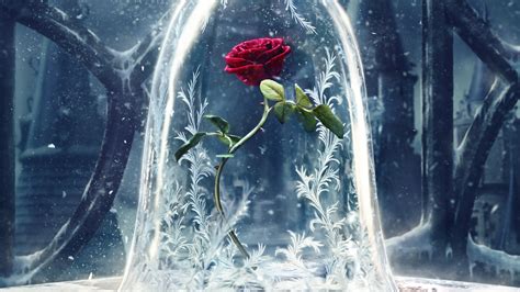 Rose, 2017 Movies, Beauty and the Beast, Disney, HD Wallpaper | Rare