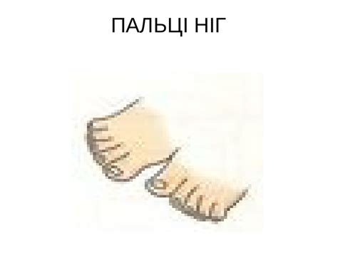 Дидактична гра "Моє тіло.Що для чого?"