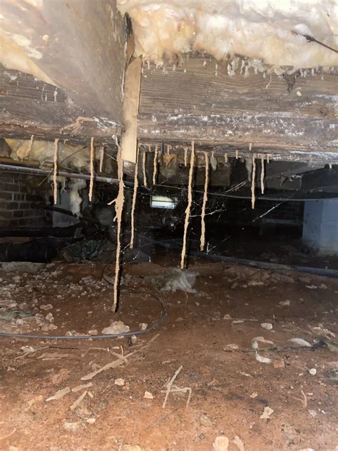 Services - B & B Pest Control