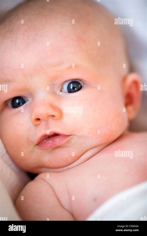 Eye contact with a serious looking baby Stock Photo - Alamy