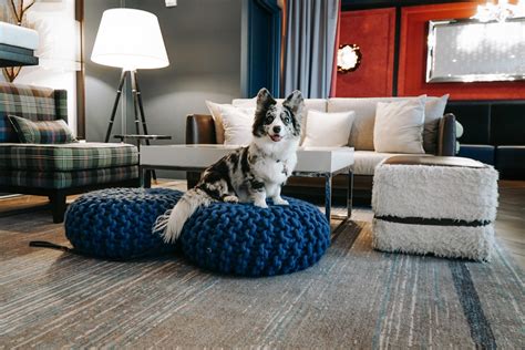 A Dog-Friendly Weekend Getaway to Winston-Salem, North Carolina – Navy ...