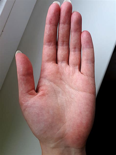 Левая ладонь. Left palm : Free Download, Borrow, and Streaming ...