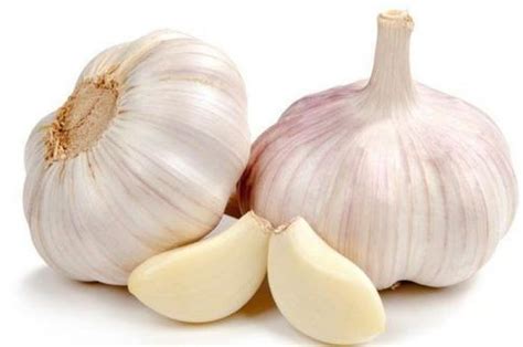 Ajo Antibiótico Efectivo: Naturaleza en Honduras y el Mundo | Three