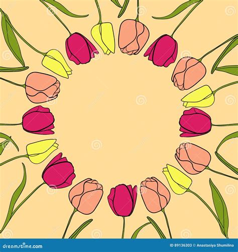 Tulip Flower Border Background Vector Stock Vector - Illustration of ...