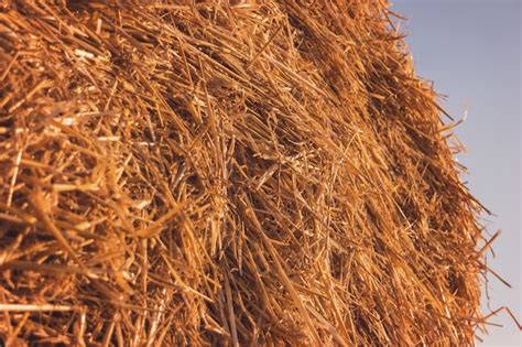 premium photo haystack  sky background