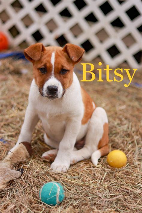 New search features will make finding Elmira NY obits much faster 13