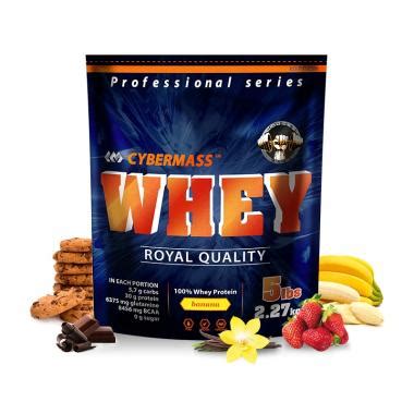 Whey протеин CYBERMASS купить в СПБ недорого. Акция