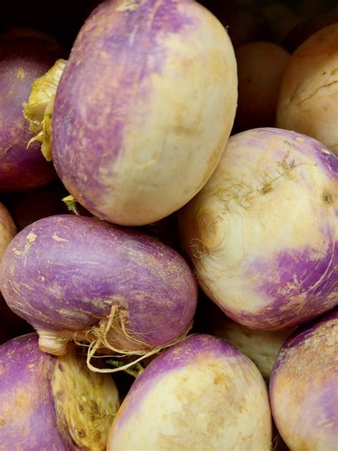 A Close-up of Turnips · Free Stock Photo