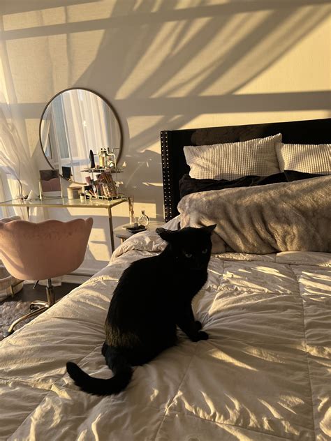 TW Pornstars - 3 pic. 🌸🧚‍♂️ Lexi Lee 🧚‍♀️🌸. Twitter. Sunset things 🌅. 3