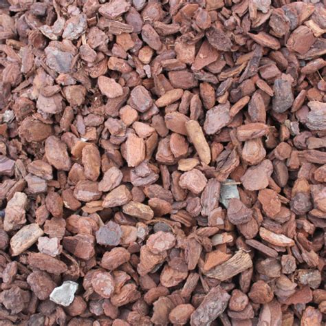 ecorce pure orchidees vacherot