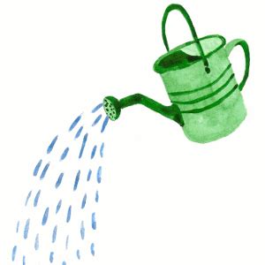 🌿 Water early in the morning (before 10a.m) or later in the evening ...