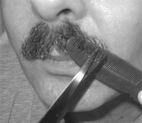 trim  mustache  neat  tidy man