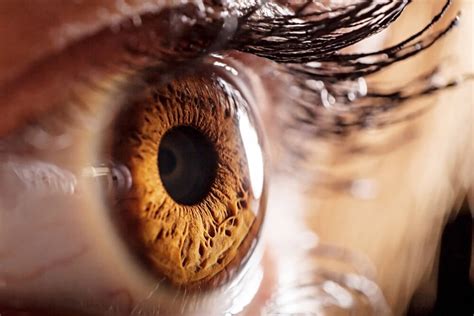 El amor es un secreto que los ojos no saben guardar - La Mente es ...