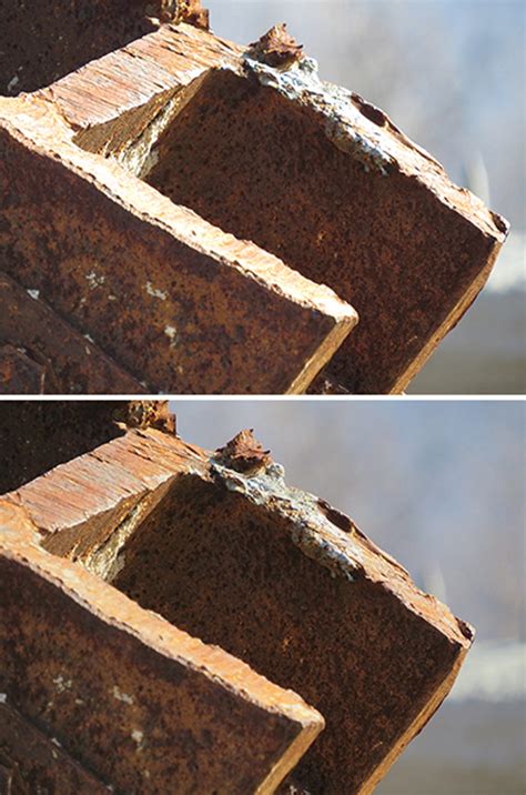 Canon PowerShot SX50 HS sample pictures - CNET