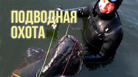 Подводная охота - YouTube