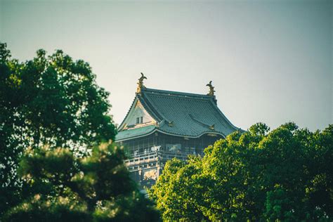 Japanese+Tease+Video Photos, Download The BEST Free Japanese+Tease