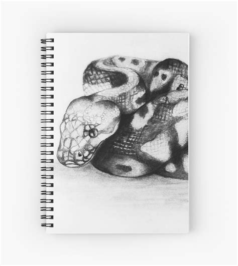 Ball Python Sketch at PaintingValley.com | Explore collection of Ball ...