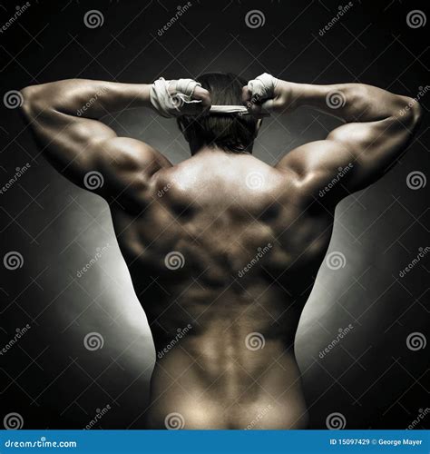 Naked athlete stock image. Image of portrait, model, muscular - 15097429
