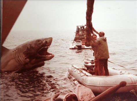 jaws  shark  jaws pics jaws scenes jaws bts