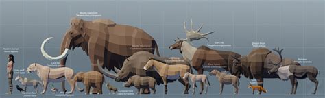 Ice age megafauna scale Europe 1 by kuzim on DeviantArt