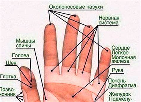Волшебный массаж пальцев руки: для мужчин и женщин. Разница есть!