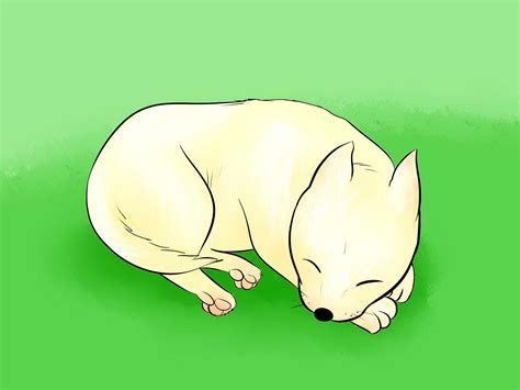 6 Ways to Draw a Cartoon Dog - wikiHow