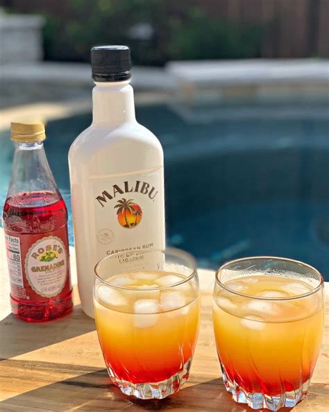 malibu recipes drinks 1