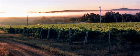 Mount Barker - Great Southern Wine Region