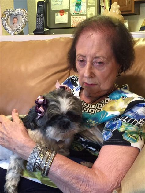Animal rescue league of el paso