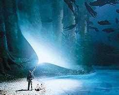 Magic GIF - Find & Share on GIPHY