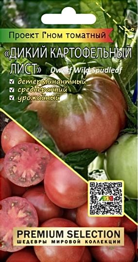 Купить семена Томат Гном Дикий картофельный лист - Любовь Мязина