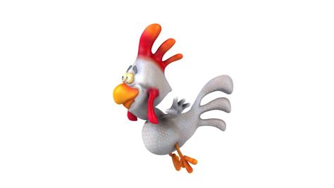 flying chicken stock footage video  shutterstock
