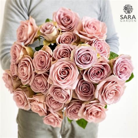 Amnesia - Sara Garden