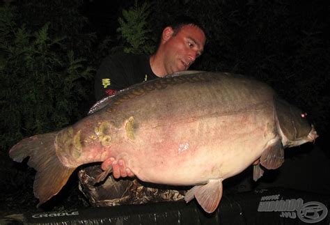 Mišel Zadravec Carp Baits 2010. 2. rész - Alapanyagok és alapmixek a ...