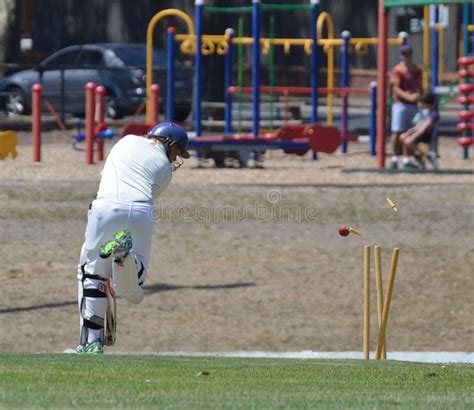 cricket player bowled editorial stock image image  batman