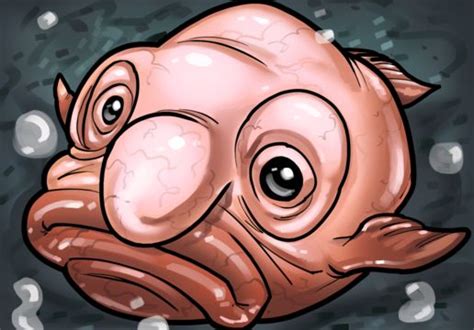 How to Draw Fish, Step By Step | Most Recent | Difficulty - Any ...