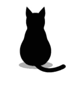 black cat gifs tenor
