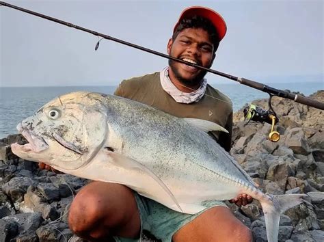 fishing tackle guide  beginners rods reels lines bait